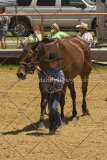 PCSC061816_5366