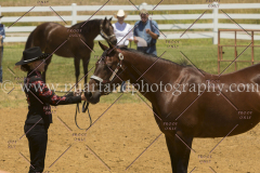 PCSC061816_5410