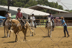 PCSC061816_5830