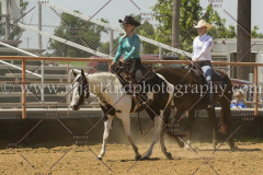 PCSC061816_6042