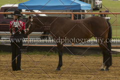 PCSC061916_6294