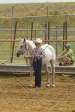 PCSC061916_6380