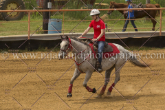 PCSC061916_7341