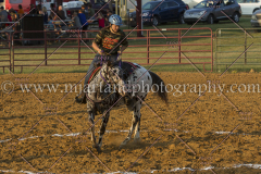 BlazingSaddles071917_3944