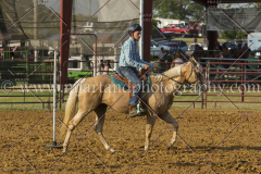 BlazingSaddles071917_3539