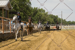 PCSC061717_0498