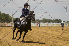 PCSC061717_0528