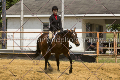 PCSC061717_0580