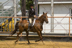 PCSC061717_0587