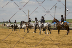 PCSC061717_0589