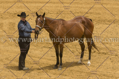 PCSC061717_9582