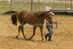 PCSC061717_9590