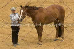 PCSC061717_9641