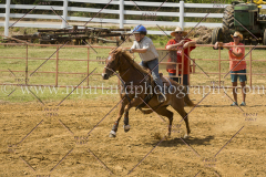 PCSC061717_0606