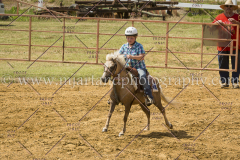 PCSC061717_0627