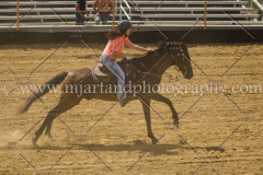 PCSC061717_0661