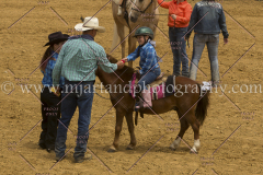 PCSC061717_9855