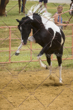 PCSC061717_9358