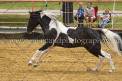 PCSC061717_9375