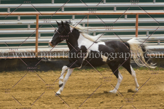 PCSC061717_9397