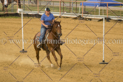 PCSC061717_1425