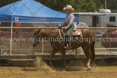 PCSC061717_0315