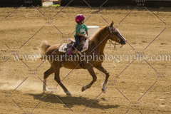 PCSC061717_0819