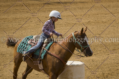 PCSC061717_0867