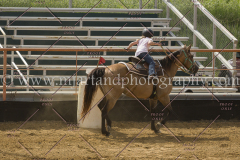 PCSC061717_1026