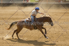 PCSC061717_1064