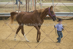 PCSC091617_6407