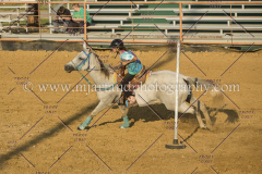 PCSC091617_8670