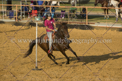 PCSC091617_8699