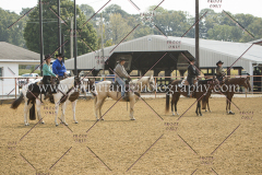 PCSC091617_7078