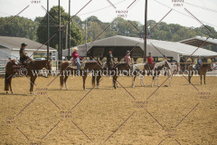 PCSC091617_7309
