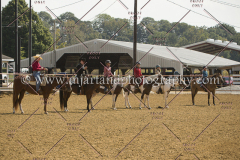 PCSC091617_7311