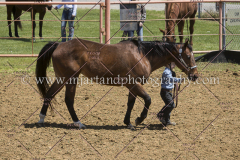 PCSC042818_0517