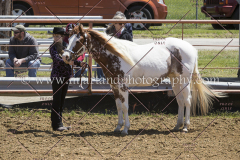 PCSC042818_0587
