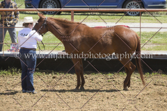 PCSC042818_0596