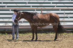 PCSC042818_0600