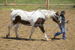 PCSC042818_0617
