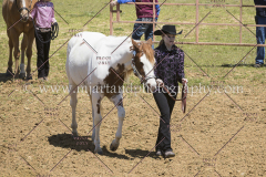 PCSC042818_0664