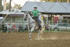 BlazingSaddles072018-2020