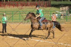 BlazingSaddles072018-1439
