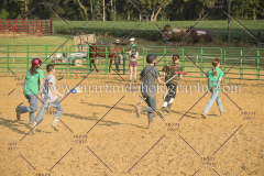 BlazingSaddles072018-2310