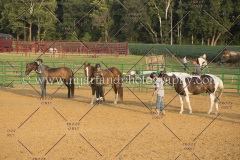 BlazingSaddles072018-2486