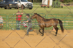 BlazingSaddles072018-2494