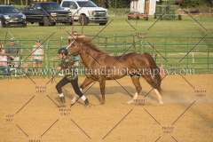 BlazingSaddles072018-2499