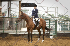 PCSC_061519_5832