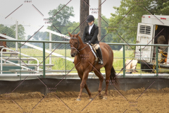 PCSC_061519_5833